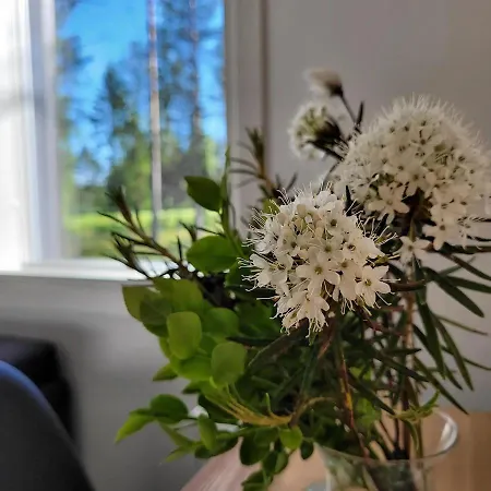 Siikavilla, Siikajoki