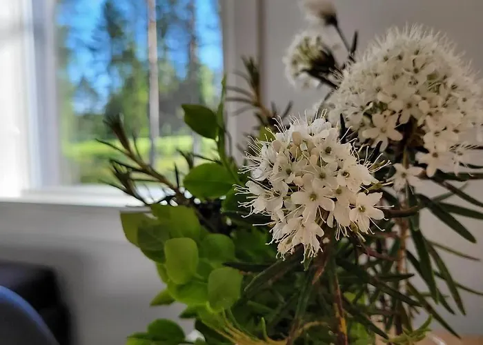 Siikavilla, Siikajoki