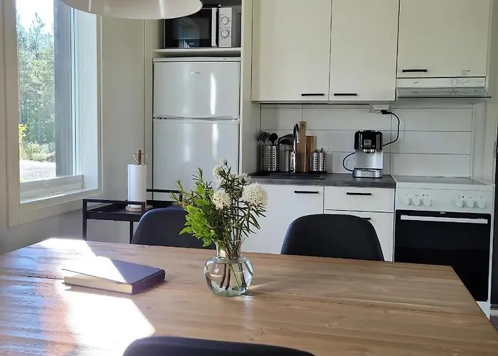 Dağ evi Siikavilla, Siikajoki